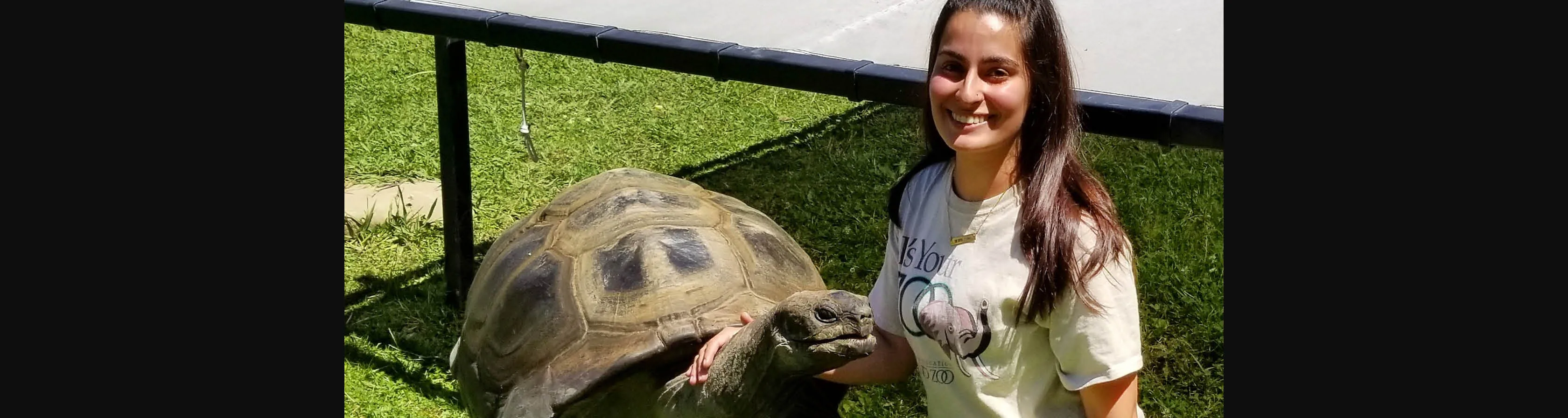 I Was an Animal Care Intern!