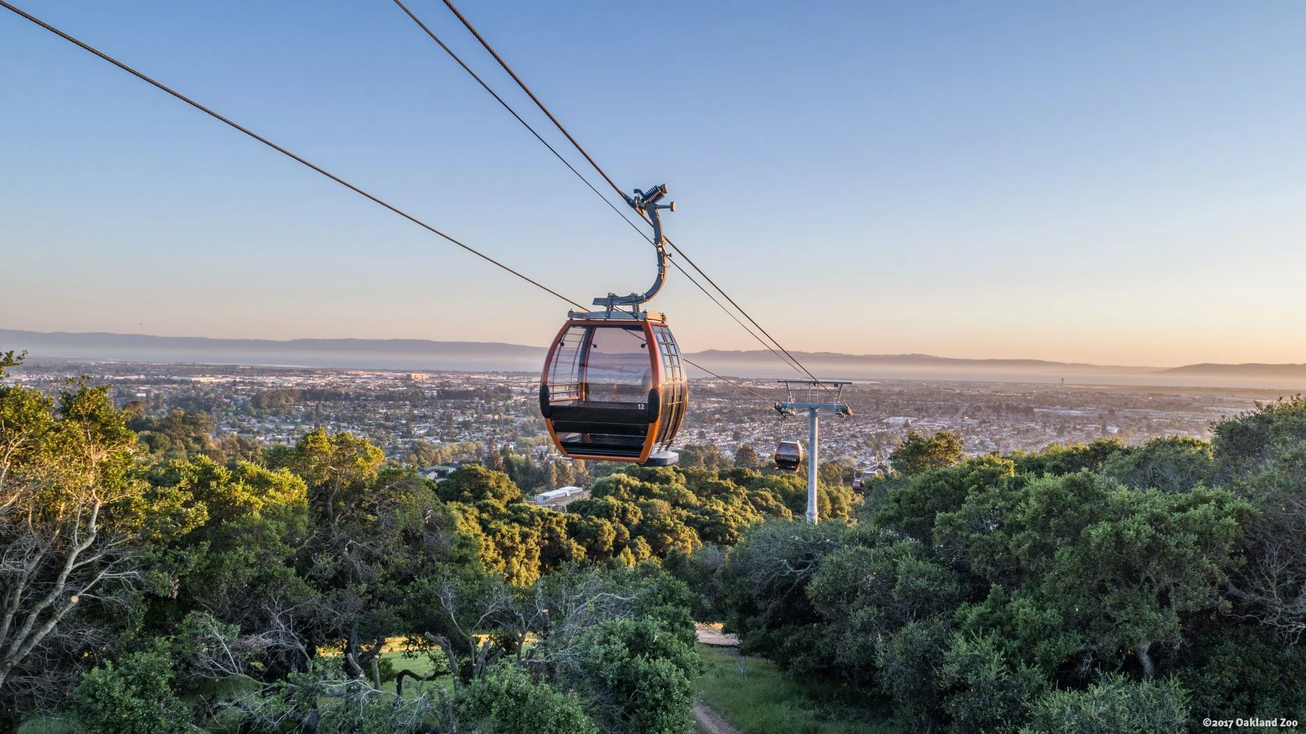5 Fascinating Facts about the Oakland Zoo Gondola