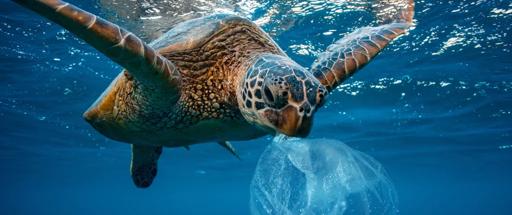 Save the Sea Turtles - Say NO to Plastic