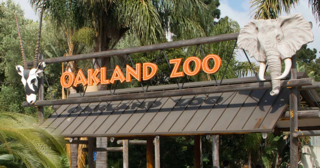 Innovative Gondola Coming to Oakland Zoo’s California Trail