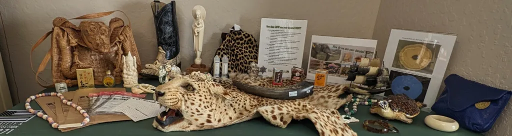 From Elephants to Chess Pieces…How A Forensics Lab in Sacramento Helps Combat the Illegal Wildlife Trade
