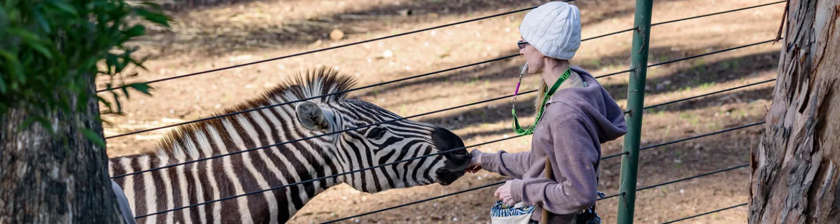 Animal Training Is More than Just Tricks - Published in Piedmont Post