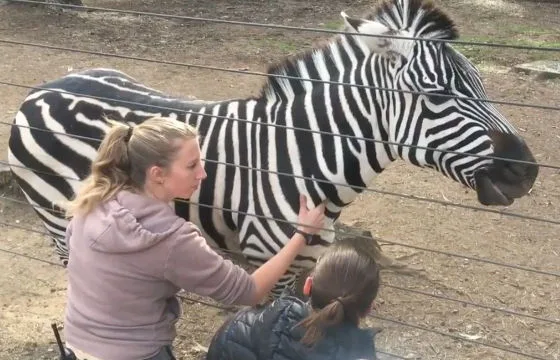 6192fbb84d3ee75e0b41317a inset zebra care 1