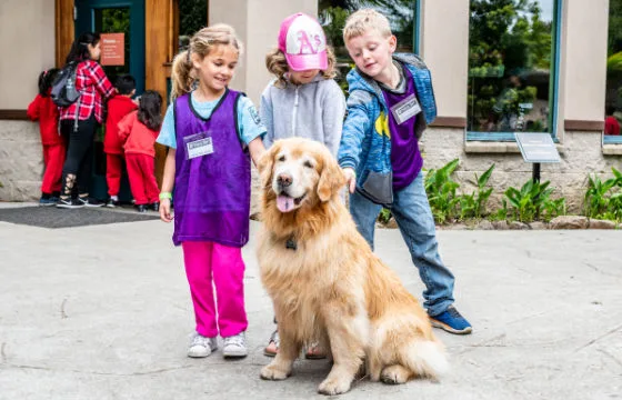 618abe9fd40c16ef80e012be inset kids dog