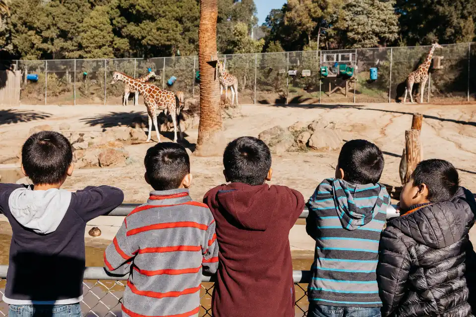 66aa460728e5834e87bff45c school programs zooschool