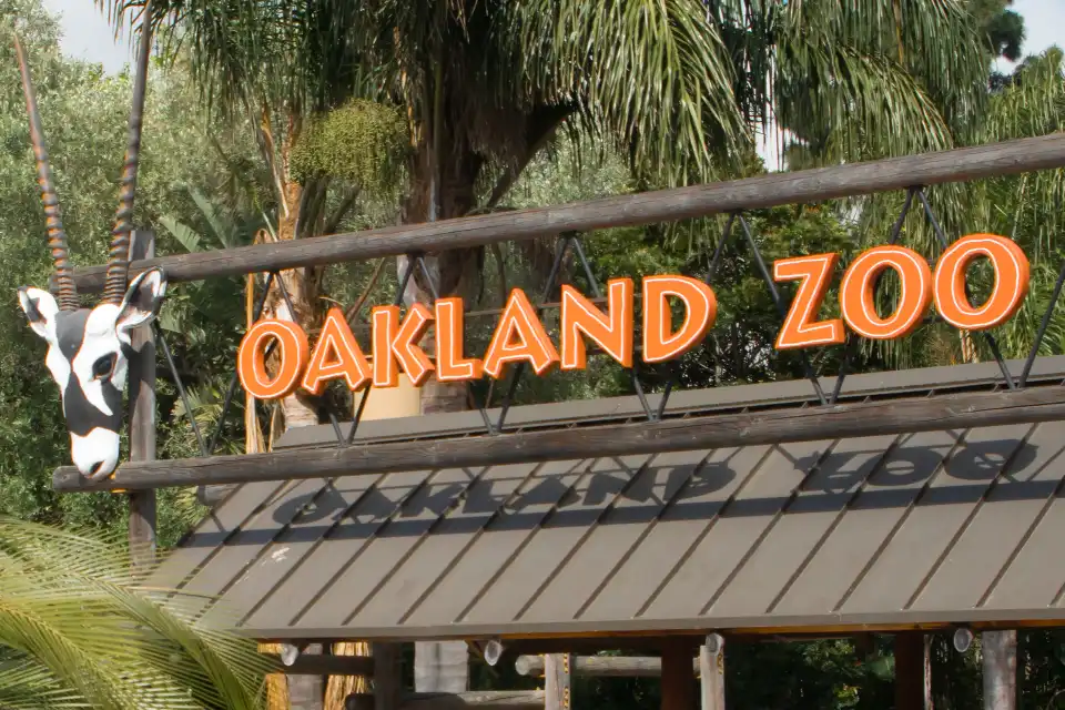 66aa49fe83f86907497f38d7 zoo field trip 1