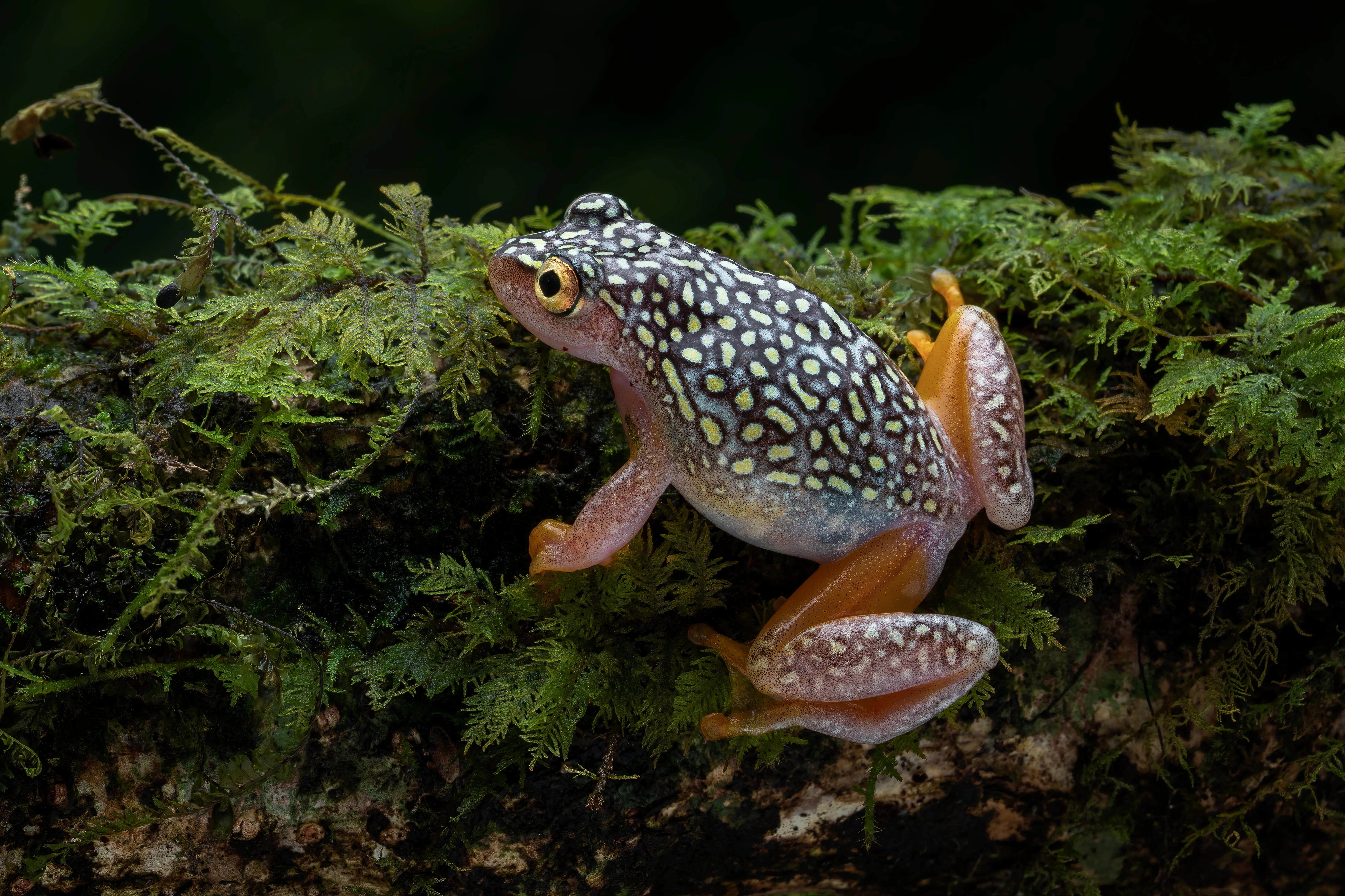 AdobeStock 589148419