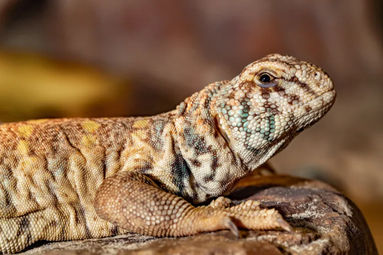 AdobeStock 618321762