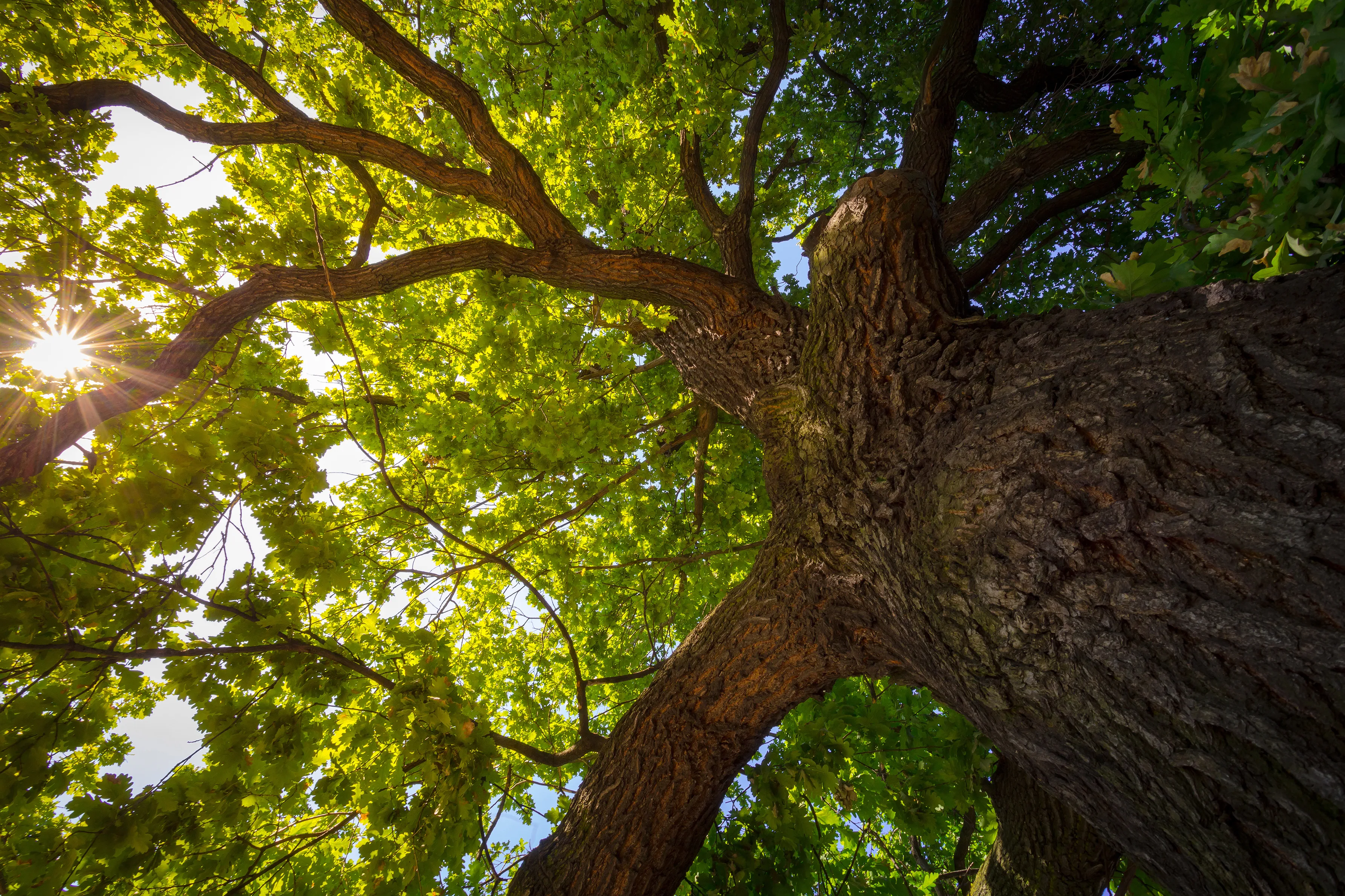 AdobeStock 131717048