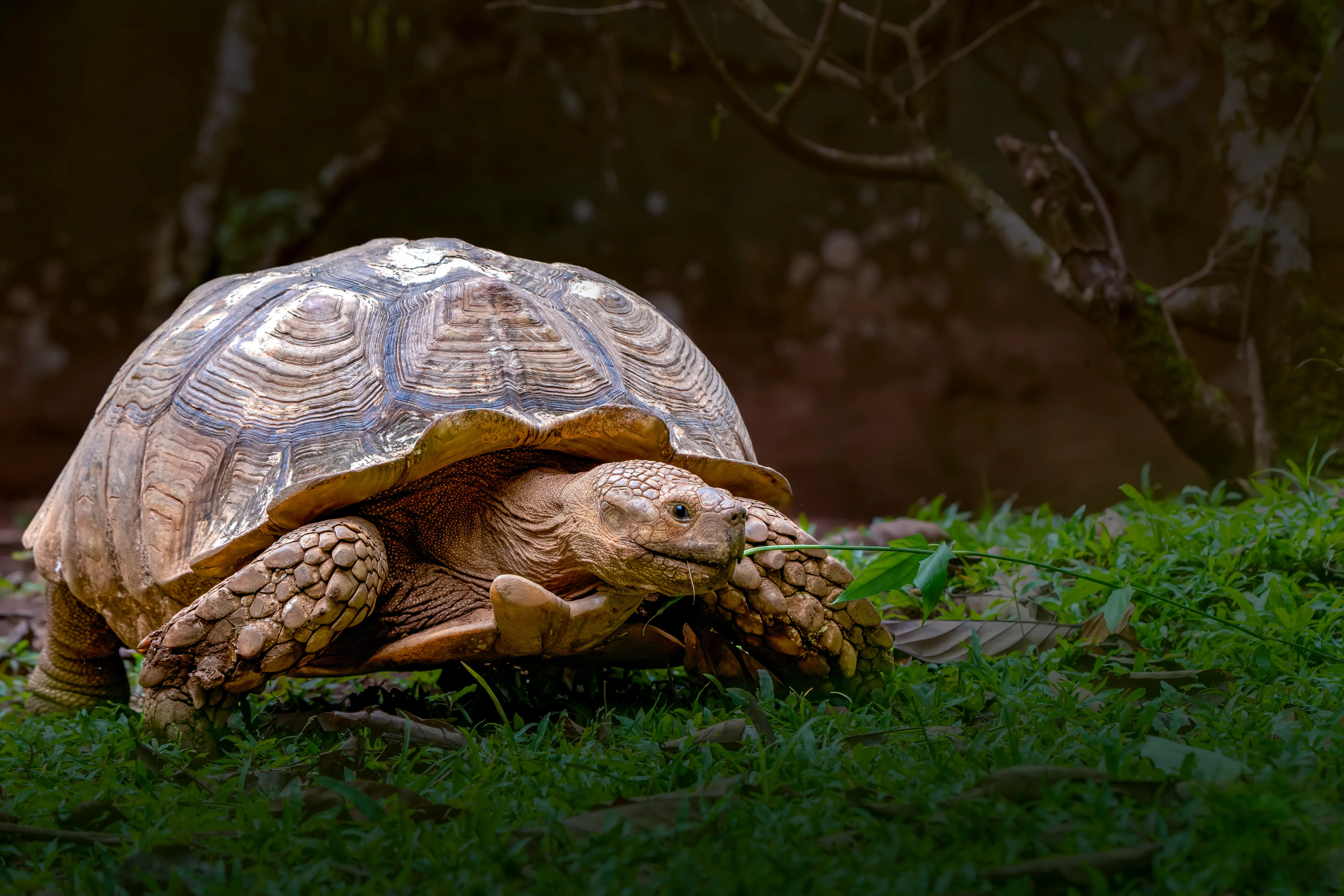 AdobeStock 1864343478