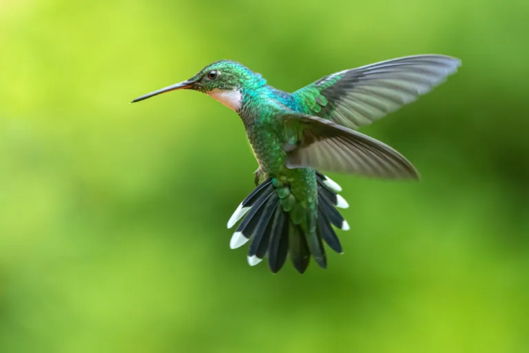 AdobeStock 492260929