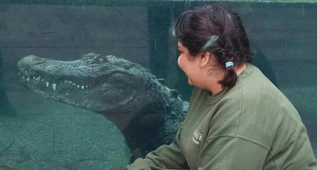 AlligatorAndVolunteer SteveThornburgh