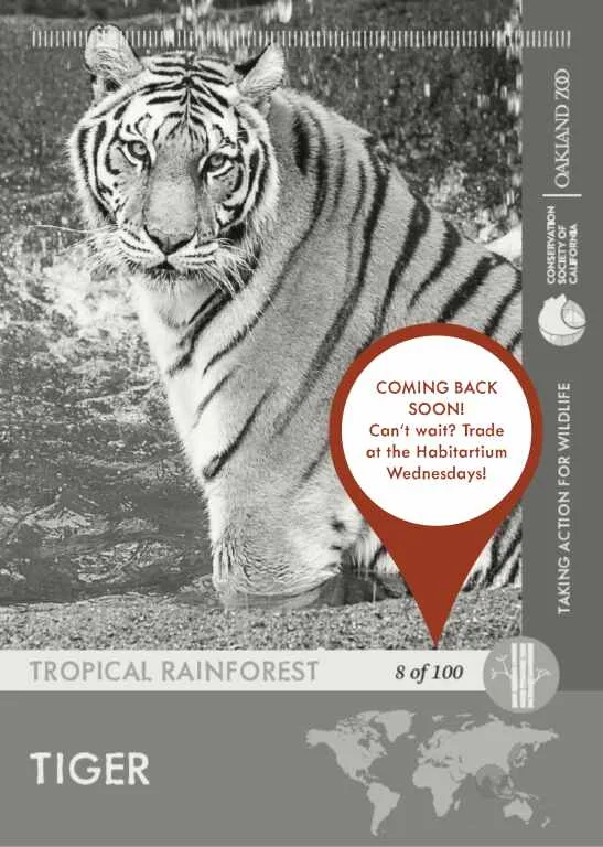 Tiger Unavailable
