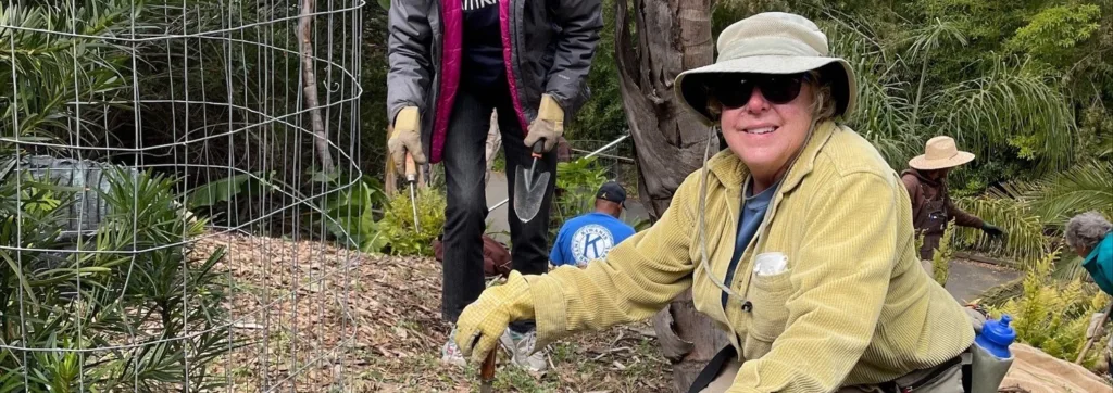 Volunteers 3 1