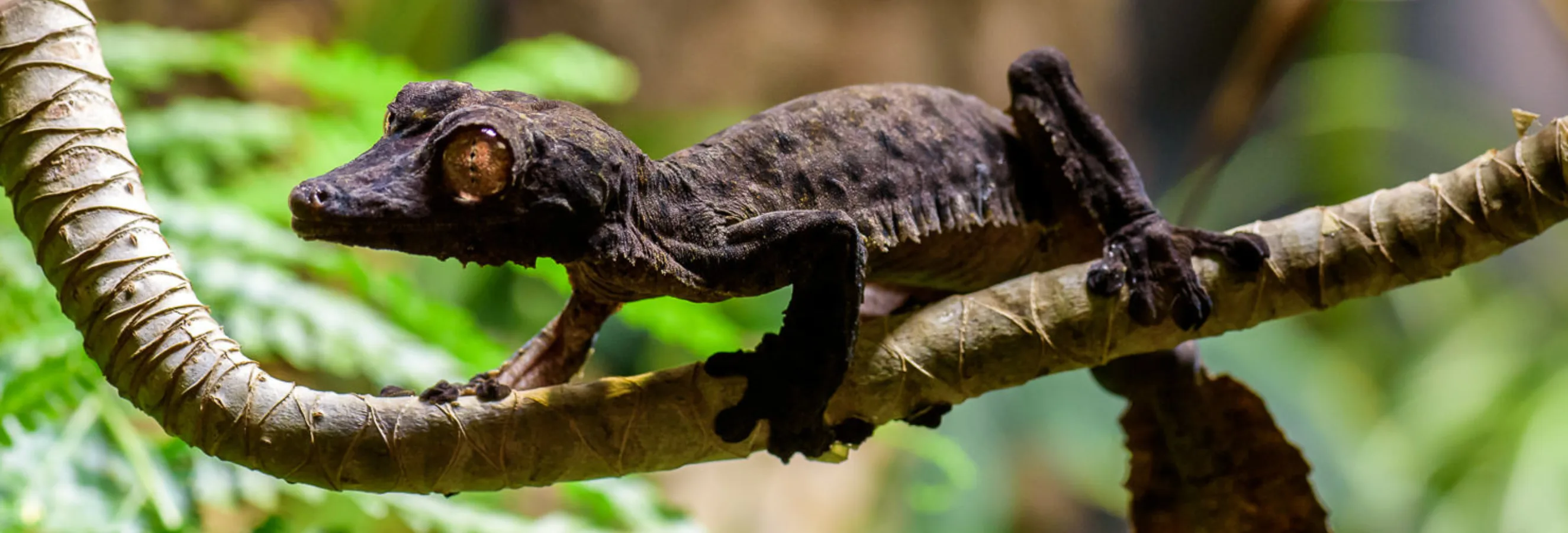 header image 12