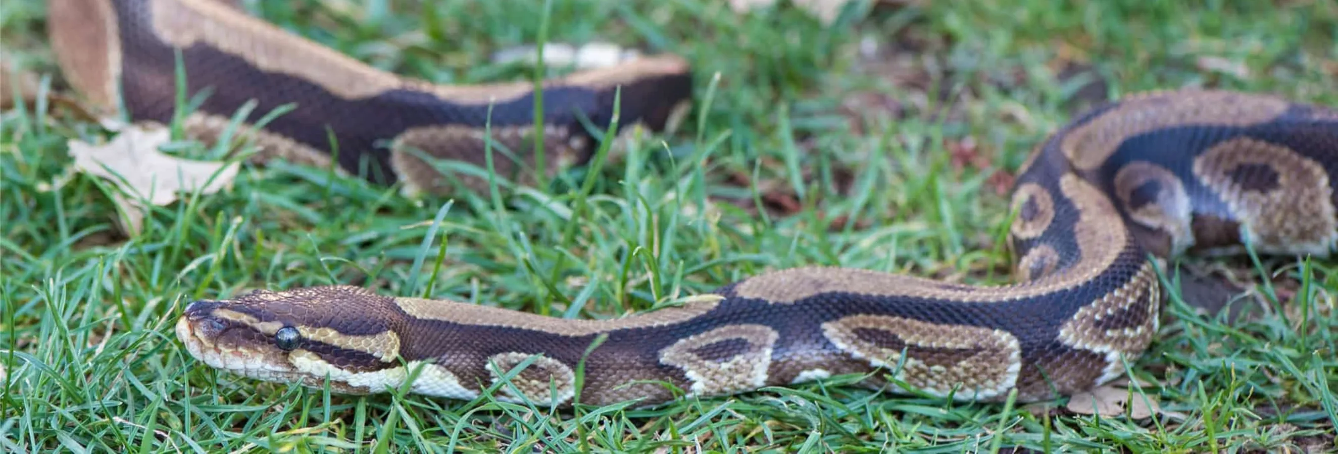 header image 3 1