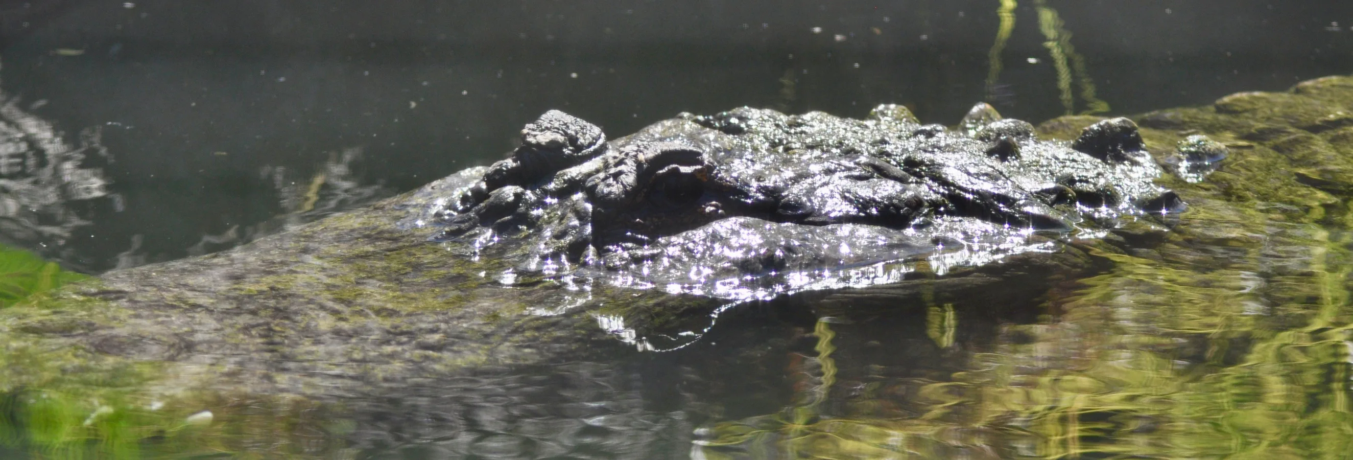 header image 4