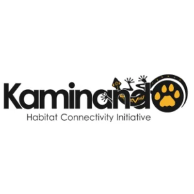 5bca24e30be4e55b329ca49d kaminando 300x300 1
