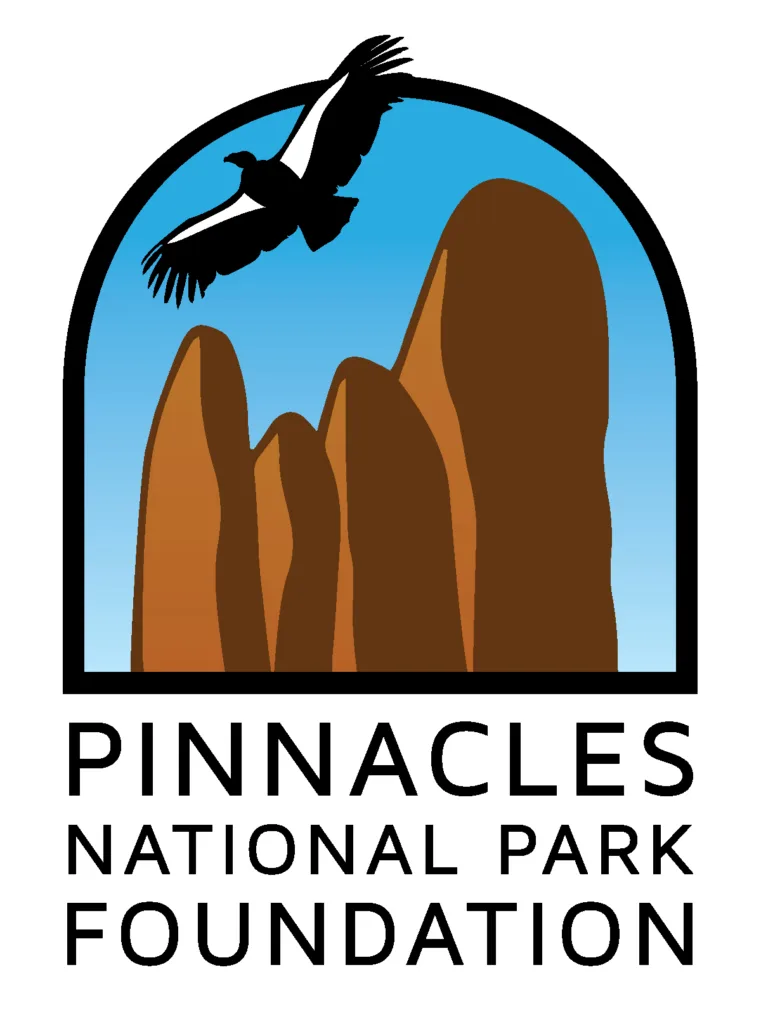 5bcdf41f1cec036ce1818742 PNPF logo 2017 Vert Clr