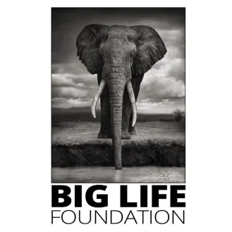 622be81f32d65d749761144f big life logo