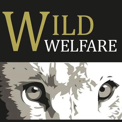 667f0339d5cf8b347b191293 Wild Welfare