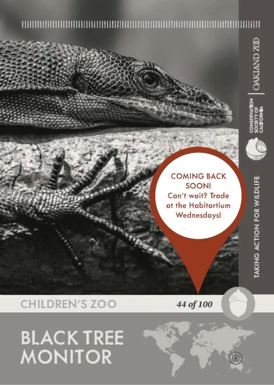Black Tree Monitor Unavailable