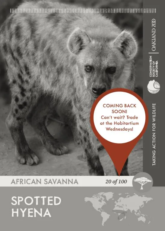 Hyena Unavailable