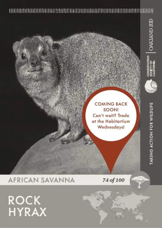 Hyrax Unavailable