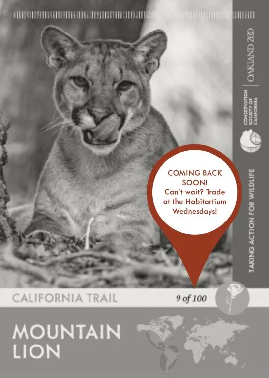 Mountain Lion Unavailable