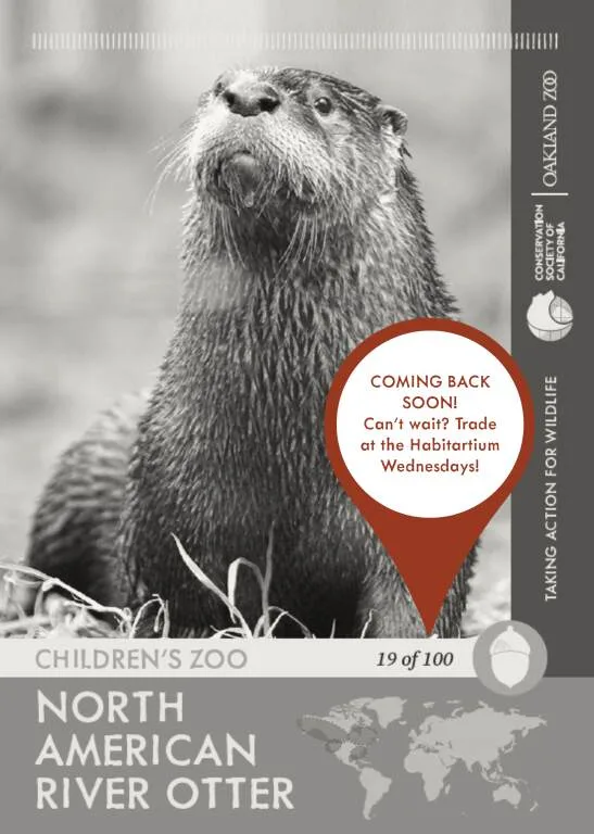 Otter Unavailable