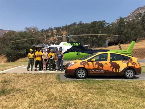 5bbe3d567f29d57ba0c39805 Helicopter 2