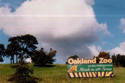 5bbe7718e017c3da18860762 Billboard20Miracle20on2098th
