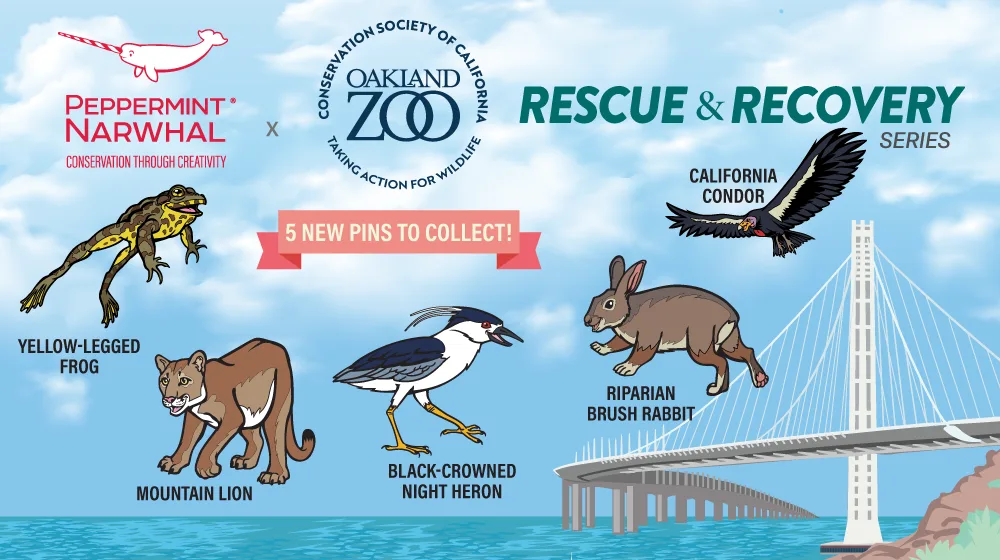 65778d7d58b1beefacdebc3a GB OaklandZoo RescueAndRecovery 1