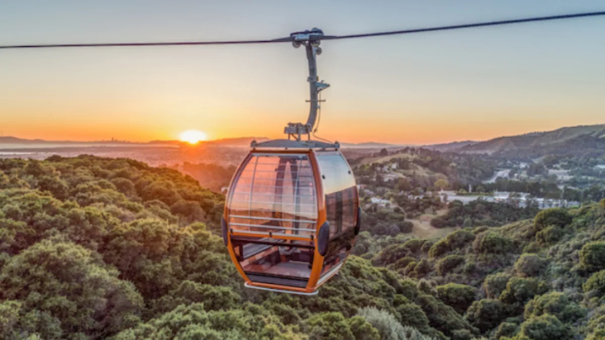 6717c44be47a9fe4097e6bef 5cb4dbae158ffca50c43f120 Gondola2520Postcard