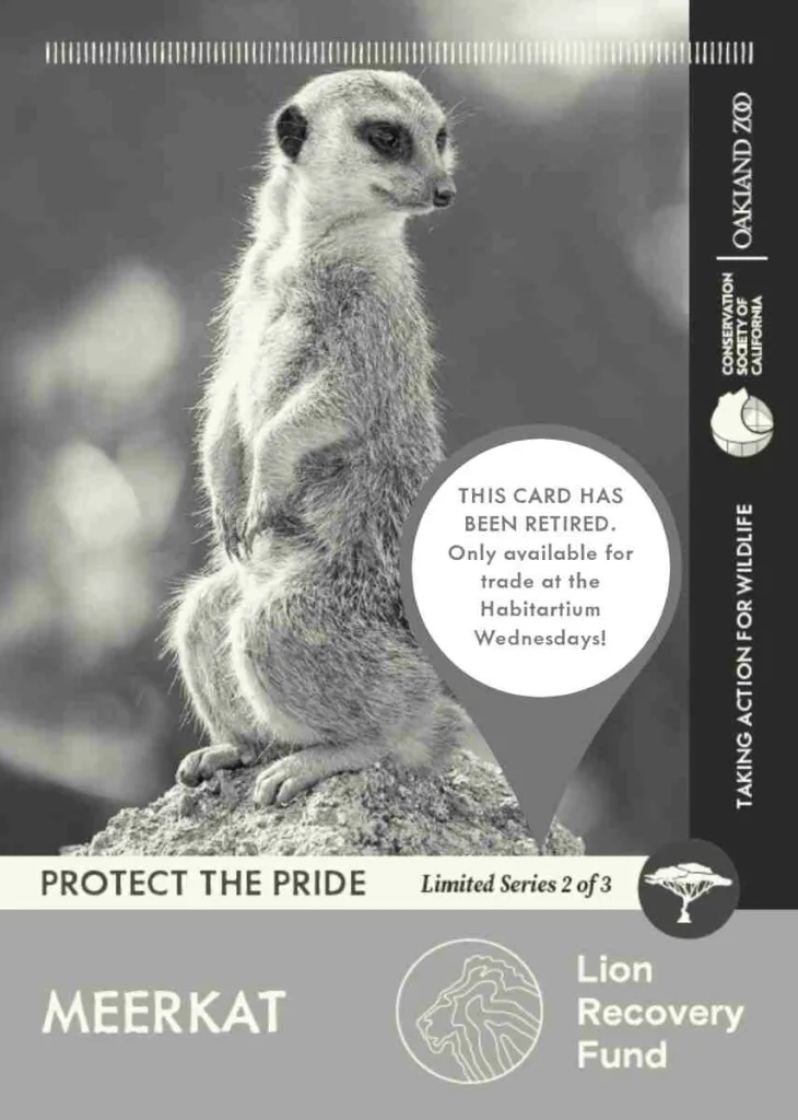 67ec3c607445c1c6824f699d Protect the Pride Meerkat Retired Unavailable