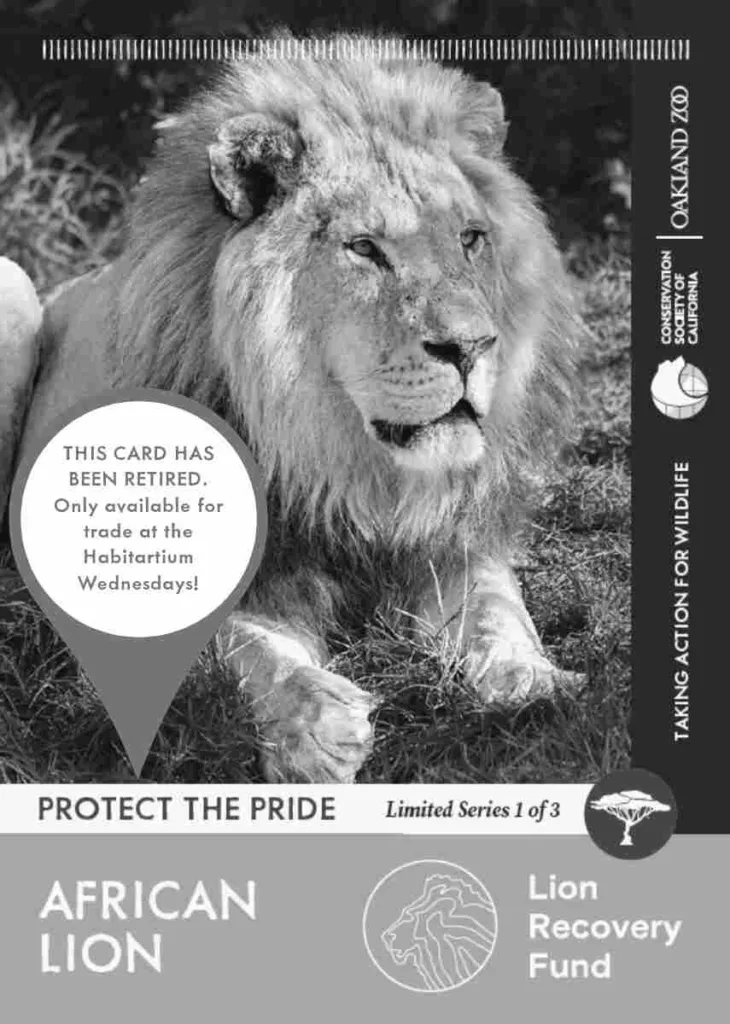 67ec3c6ea7693e28b28a5e92 Protect the Pride Lion Retired Unavailable