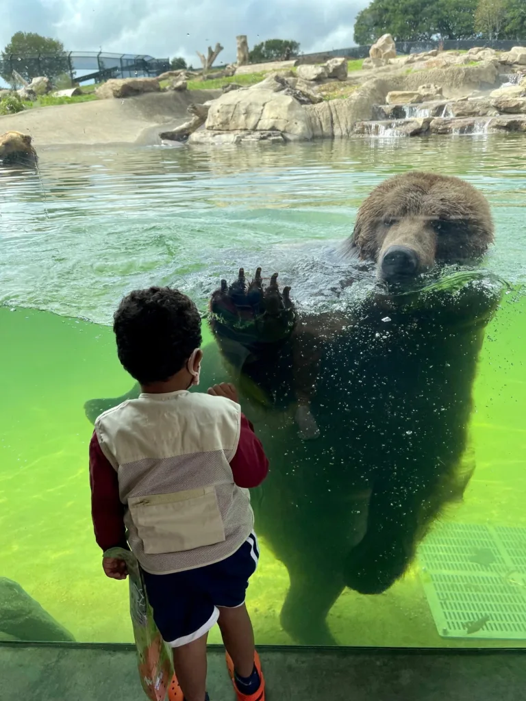 Boy high five grizzly SeunCassieAyeni