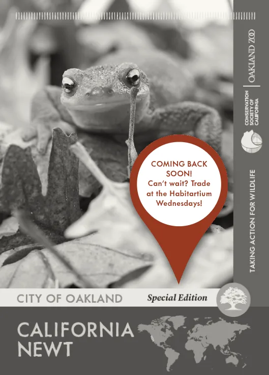 City of Oakland California Newt Unavailable