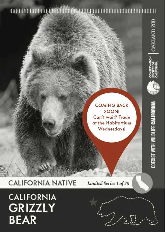 CoexistCA Grizzly Bear Unavailable
