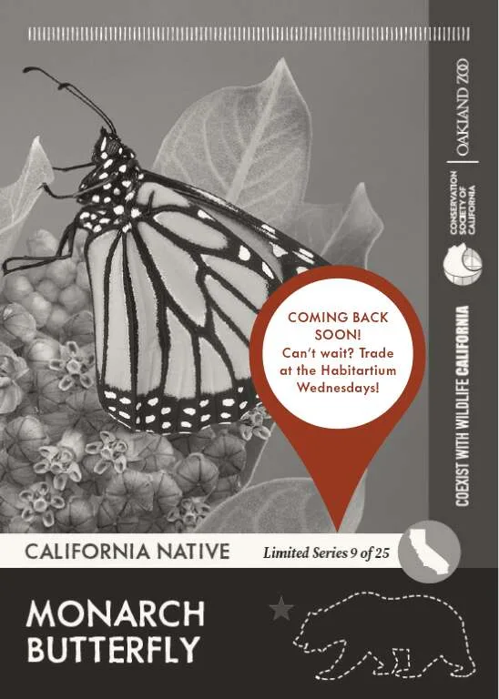 CoexistCA Monarch Butterfly Unavailable