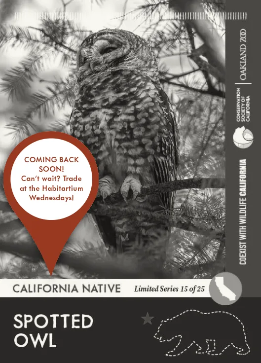 CoexistCA Spotted Owl Unavailable