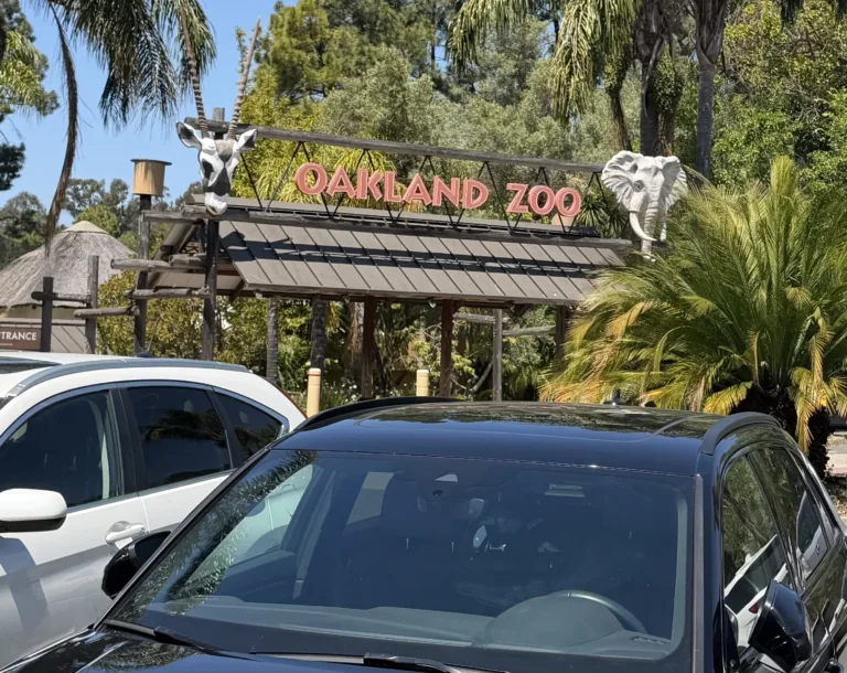 oz parking 3
