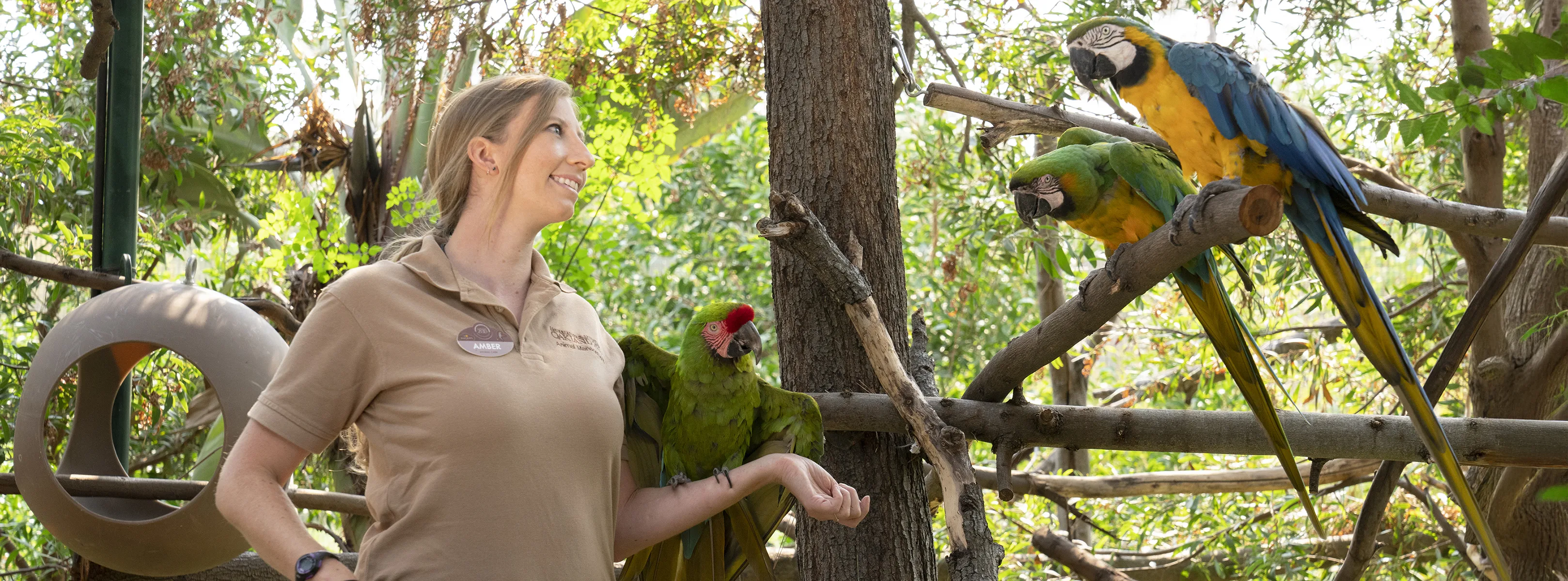 Amber P with parrots copy 2 2