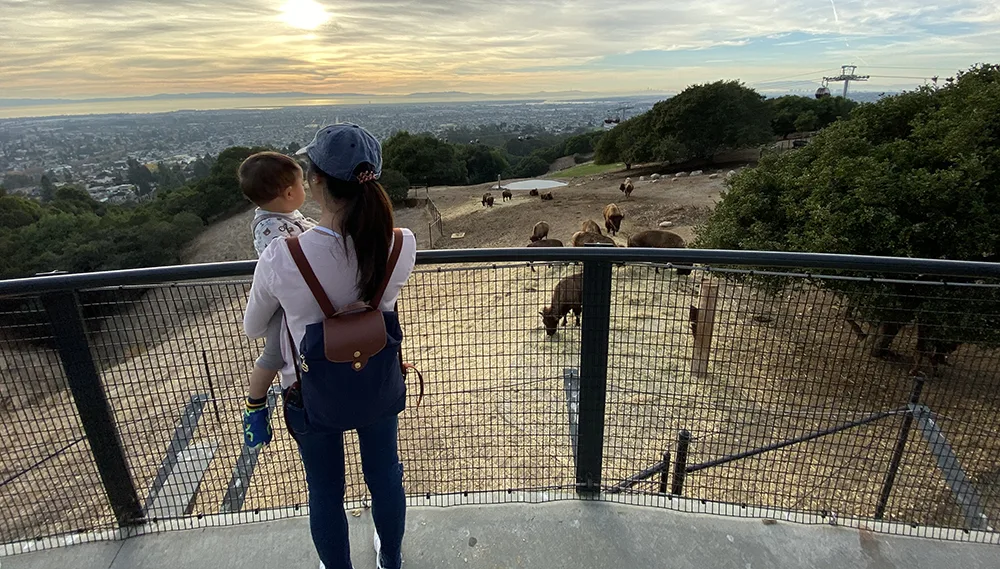 Bison Overlook Vay Duong small