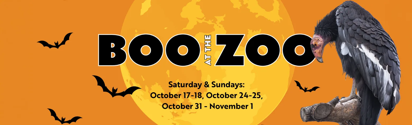 Boo at the Zoo Header Image new