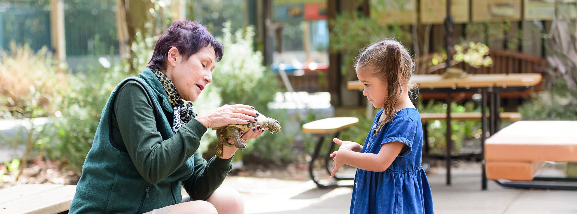 Zoo Project 9 16 2021 7501937 docent2