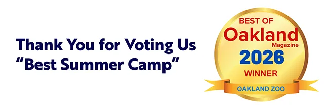 Best Summer Camp