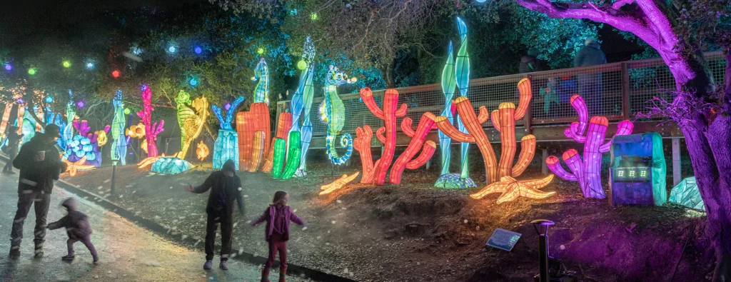 20260101 Oakland Zoo GLowfari cropped